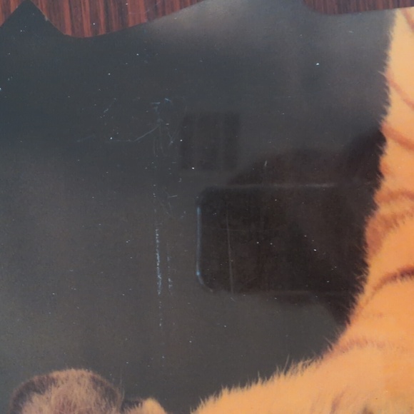 Gorgeous Large Wooden Tiger Plak with Sculpted Sides - Picture 6 of 6